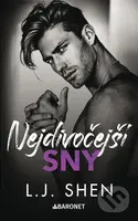 Nejdivočejší sny - L.J. Shen - kniha z kategorie Romantická