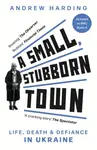 A Small, Stubborn Town - Andrew Harding