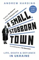 A Small, Stubborn Town - Andrew Harding