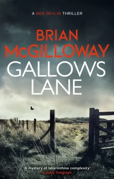 Gallows Lane - Brian McGilloway