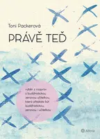 E-kniha: Právě teď od Packerová Toni