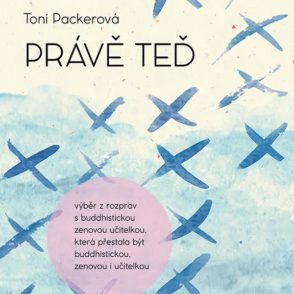 E-kniha: Právě teď od Packerová Toni