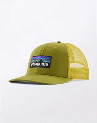 Patagonia P-6 Logo Trucker Hat Graze Green