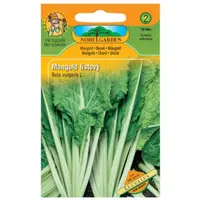 Mangold listový Lucullus, zelený