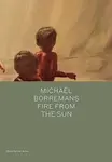 Michael Borremans: Fire from the Sun - Michael Bracewell