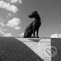 Le Payaco: Pohybliví v nehybnom - Le Payaco