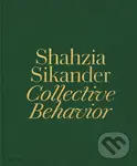 Shahzia Sikander (Collective Behavior) - Ainsley M. Cameron