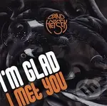 Band of Heysek: I'm Glad I Met You LP - Band of Heysek