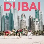 Pocket Dubai - Hayley Skirka - kniha z kategorie Průvodci Asií