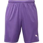 Puma TEAMGOAL SHORTS Pánske futbalové šortky, fialová, veľkosť