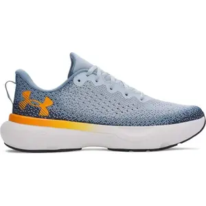 Under Armour INFINITE Pánska bežecká obuv, sivá, veľkosť 45.5