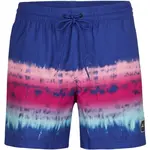 O'Neill HORIZON SHORTS Pánske plavecké šortky, modrá, veľkosť