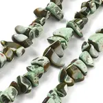 Dyed Natural Trochus Shell Beads Strands