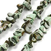 Dyed Natural Trochus Shell Beads Strands