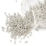 12/0 Electroplate Glass Seed Beads