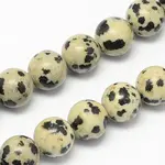 Natural Dalmatian Jasper Stone Bead Strands