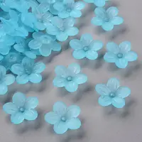 Frosted Acrylic Bead Caps