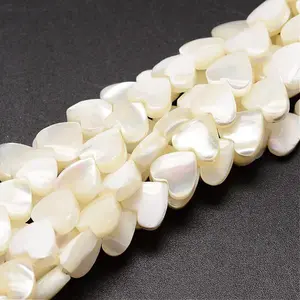 Natural Trochid Shell/Trochus Shell Beads Strands