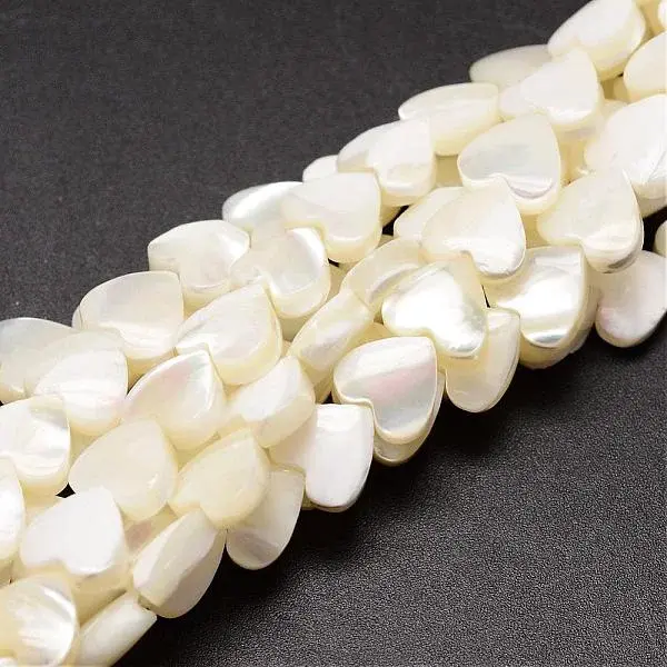 Natural Trochid Shell/Trochus Shell Beads Strands
