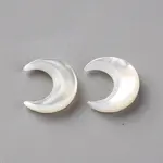 Natural White Shell Beads
