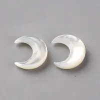 Natural White Shell Beads