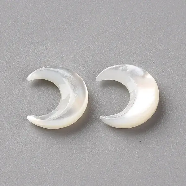Natural White Shell Beads