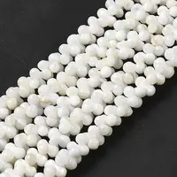 Natural Freshwater Shell Beads Strands