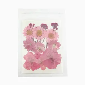 Pressed Dried Flowers