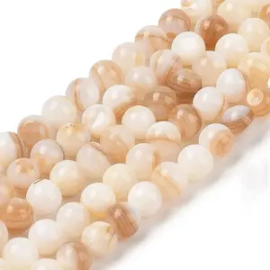 Natural Freshwater Shell Beads Strands
