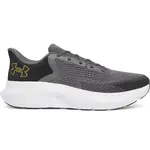 Men's shoes Under Armour Charged Rogue 5