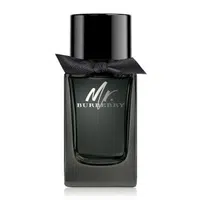 Burberry Mr. Burberry - EDP 100 ml