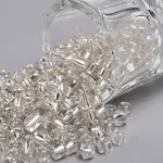 6/0 Glass Seed Beads