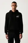 Tommy Jeans  mikina s kapucňou pánska bavlnená