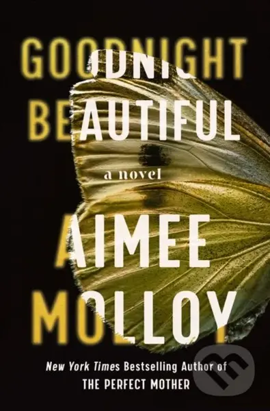 Goodnight Beautiful (A Novel) - Aimee Molloy