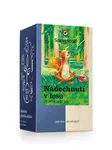 Čaj Nadechnutí v lese BIO 18x1,5 g porc.