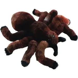 Pavúk vtáčkar 19 cm