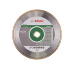Bosch Príslušenstvo - Diamantový rezný kotúč na dlaždice a obklady 250x30/25,4 mm 2608602539