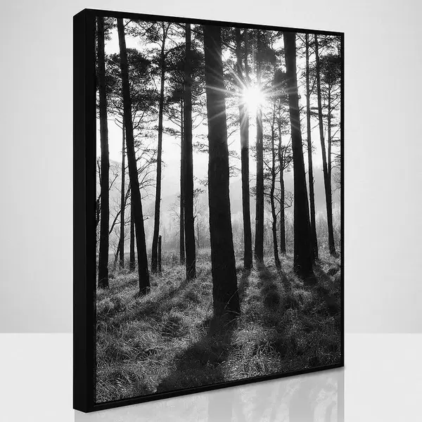 Obraz Sb 50x70 087L18.37.001