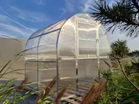 Gutta Zahradní skleník GARDENTEC SLIM 6 x 2 m, 4 mm