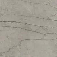 Dlažba Del Conca Boutique silver 60x60 cm lesk G9BO15S