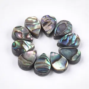 Abalone Shell/Paua Shell Beads