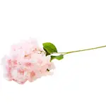 Kvet 65cm ružová A2010454