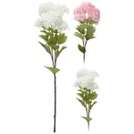 Klaina 6 konárov 60 cm