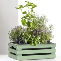 Okenný kvetináč Tina 2 31x25x13