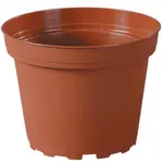 Kvetináč Classic Tod D6cm/Leh/10ks/Te