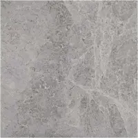 Dlažba Track Gris 30/30