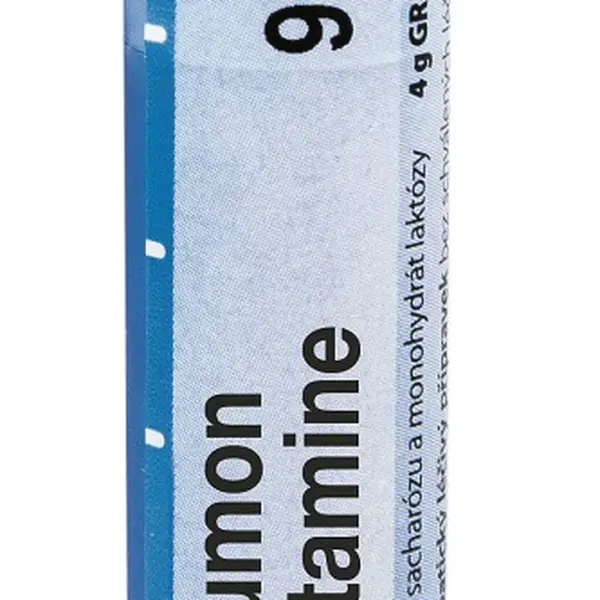 Boiron POUMON HISTAMINE CH9 granule 4 g