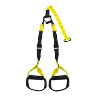 Lifefit BODYTRAINER  HOME BASIC,zluty