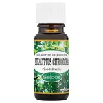 Saloos Esenciální olej Eukalyptus citriodora 10 ml