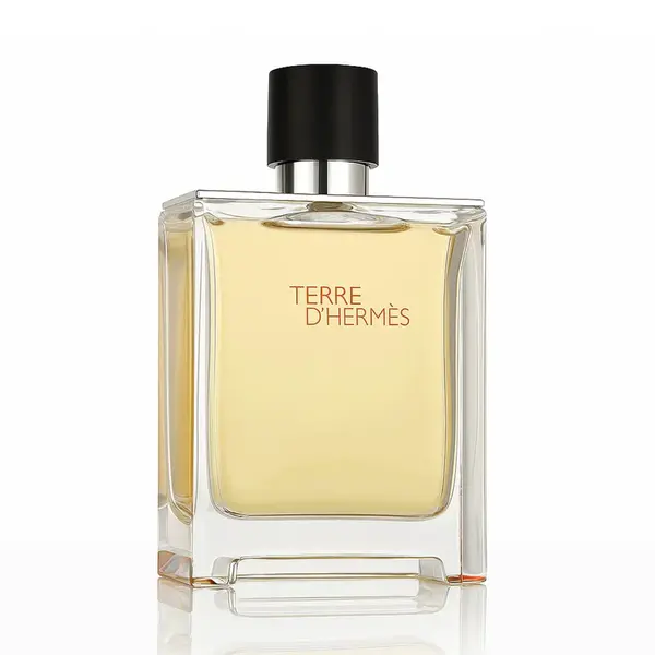 Hermès Terre D' Parfém 200 ml M (Nový obal)
